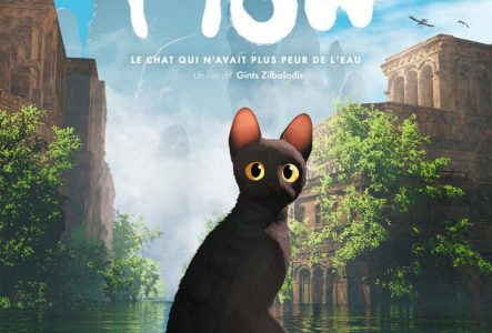 DR un chat noir