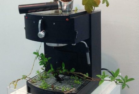 FMAC et MAH Une machine à café où la nature à repris ses droits