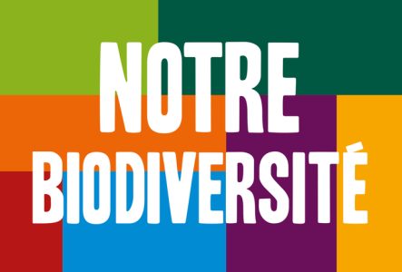 CJBG Fond de différentes couleurs avec un texte en blanc: Notre biodiversité