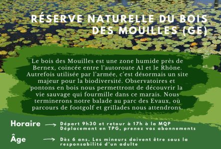 Antonin Kummer Marais du bois des Mouilles