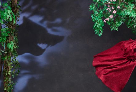 © MEG Mise en scène du conte le petit chaperon rouge avec objets du MEG.On voit l'ombre du loup et une demi cape qui semble s'enfuir.