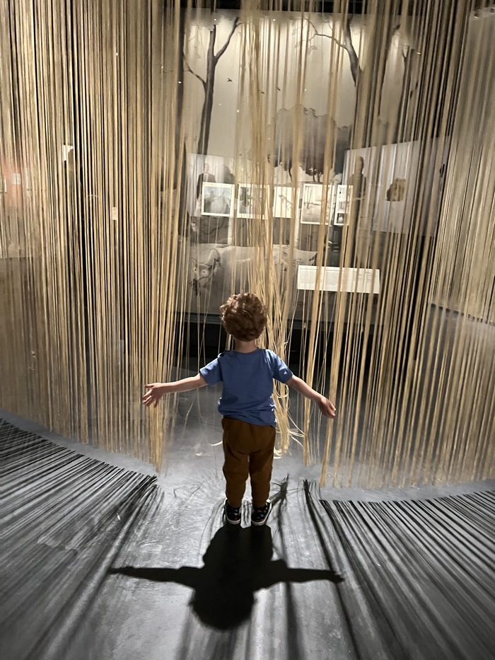 Un enfant joue avec des rideaux dans une exposition du MEG.