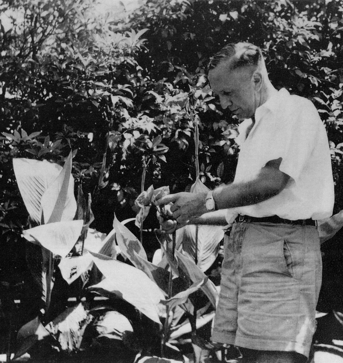 Photographie noir et blanc d'Albert Zimmermann au Jardin botanique