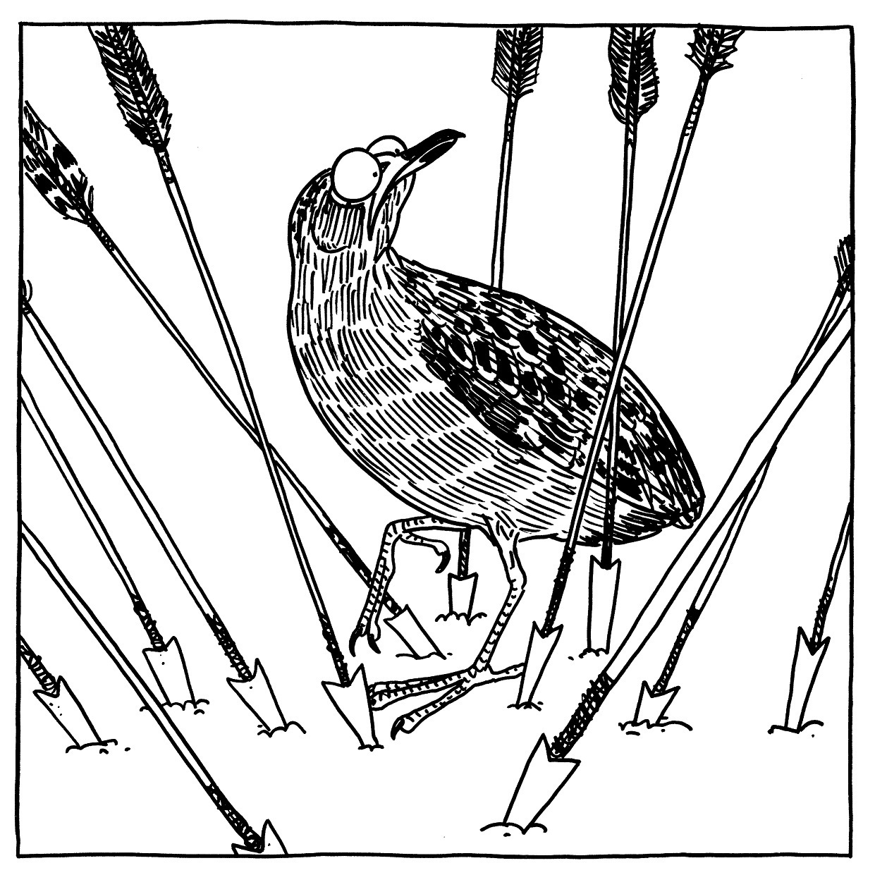 une illustration en noir et blanc qui représente un oiseau entouré par des flèches