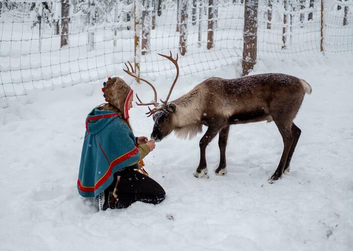 Femme Sámi qui donne à manger à une renne dans un paysage d'hiver