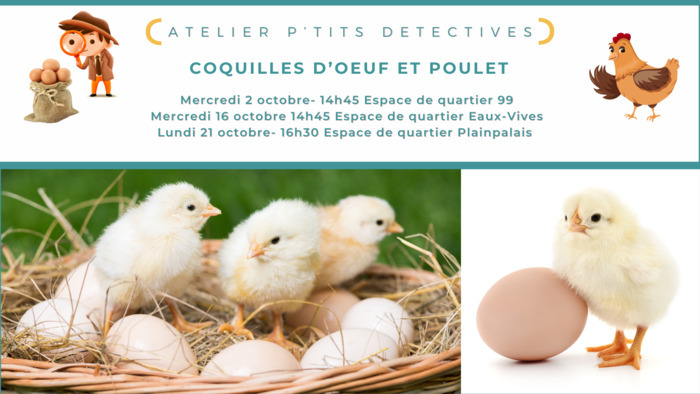 Image de l'atelier pour enfants autour les coquilles et le poulet