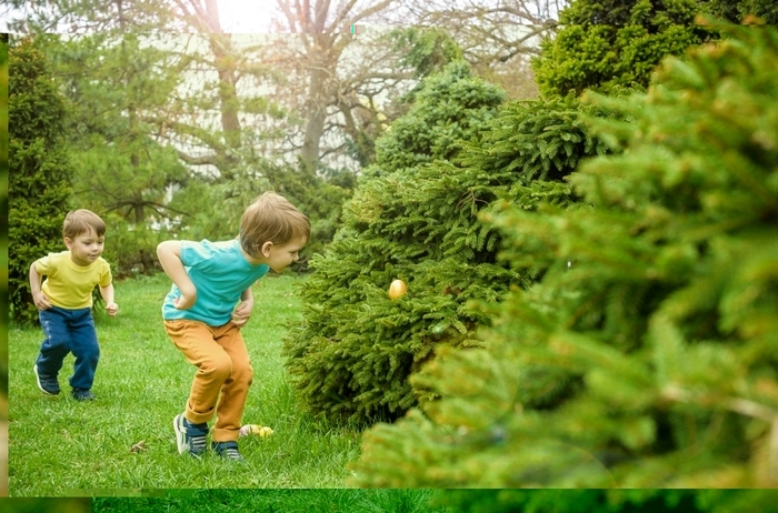 Enfants qui cherchent des oeufs