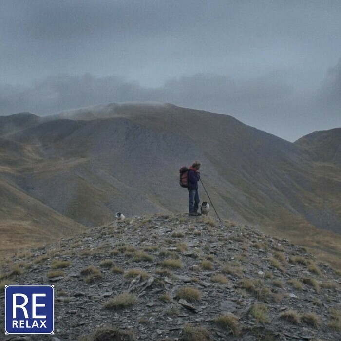 Image extraite du film Un pasteur de Louis Hanquet. Un homme dans la montagne regarde au loin. Deux chiens sont à ces côtés.