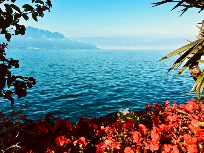 Lac léman