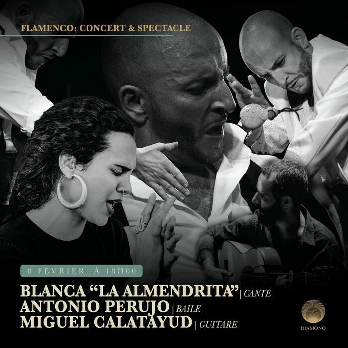 Concert et spectacle de Flamenco à l'Espace Diamono le 8 février 2025