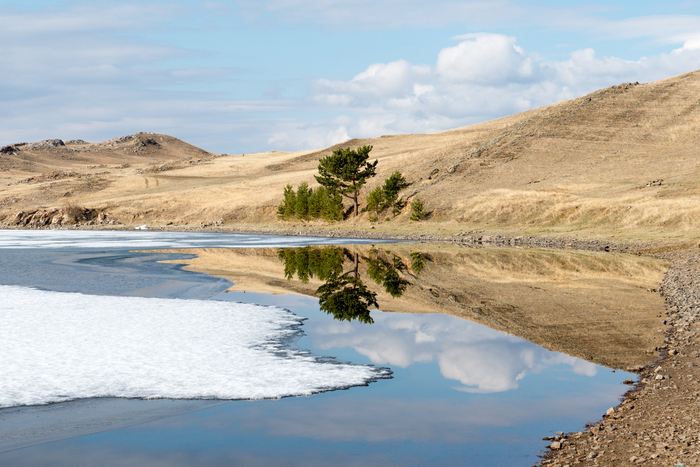 Un lac avec au bord un arbre et des collines aux alentours. Il s'agit du lac Baïkal.