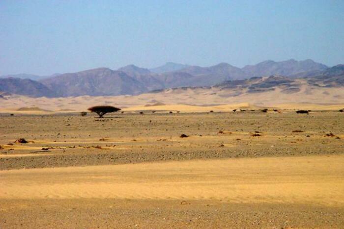 désert dans la corne de l'Afrique