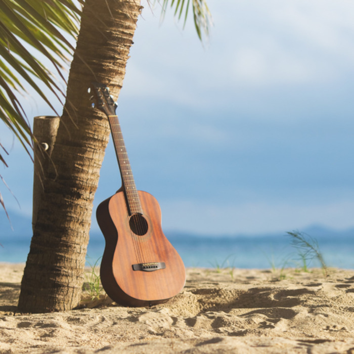 Une guitare appuyée à un cocotier sur une plage