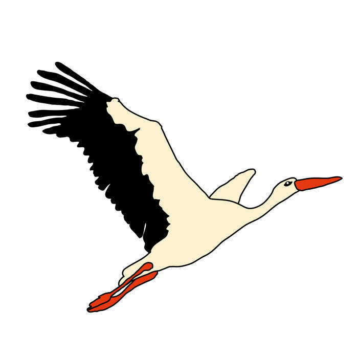 Illustration cigogne qui vole