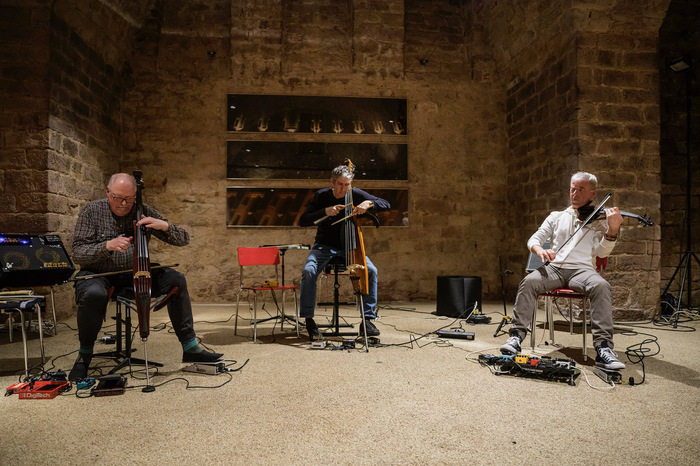 3 musiciens jouant des instruments à cordes électriques