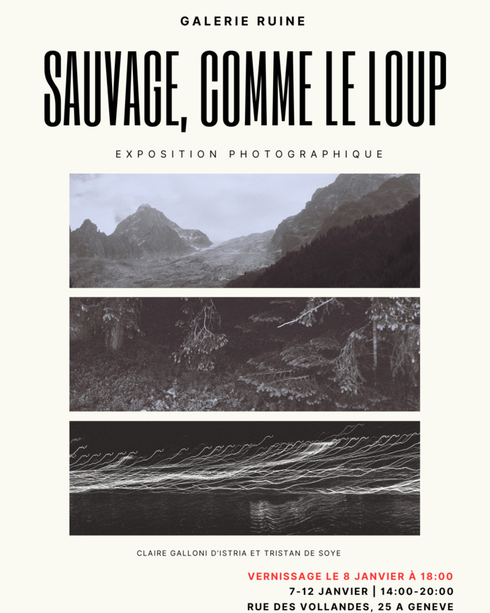 3 photographies présentées l’une dessous l’autre et représentant des mises en scène du sauvage dans les Alpes.