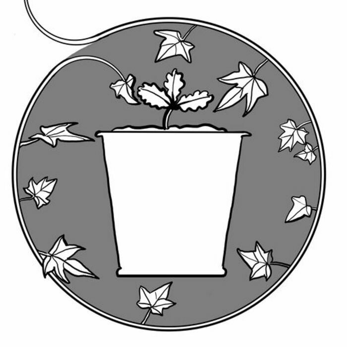 Une illustration en gris noir et blanc qui représente une pousse de chêne dans un pot