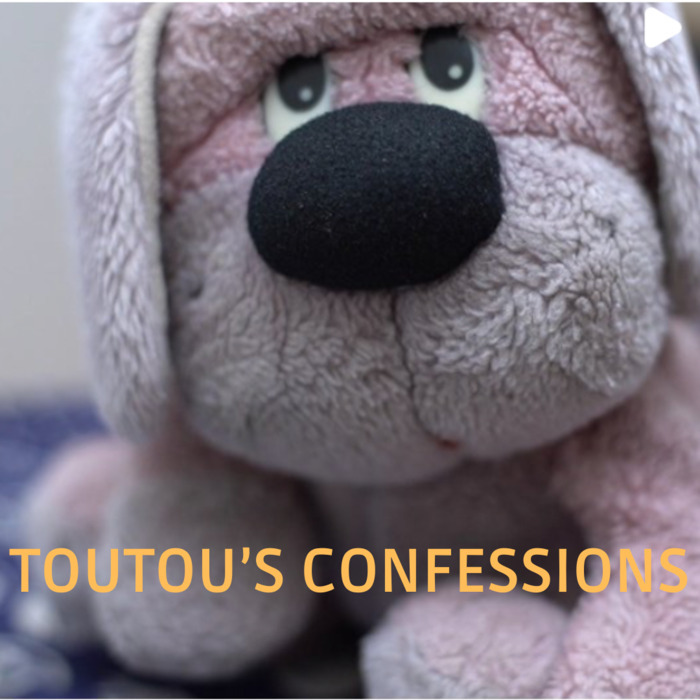 photo de toutou, le doudou, petit chien en peluche regardant de façon attendrissante