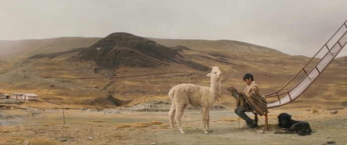 A child sits at the foot of a toboggan with his alpaca in an open landscape.