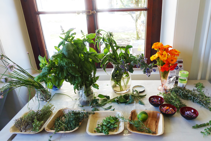 Présenté sur une table dans des assiettes et vases, un grand choix de plantes comestibles