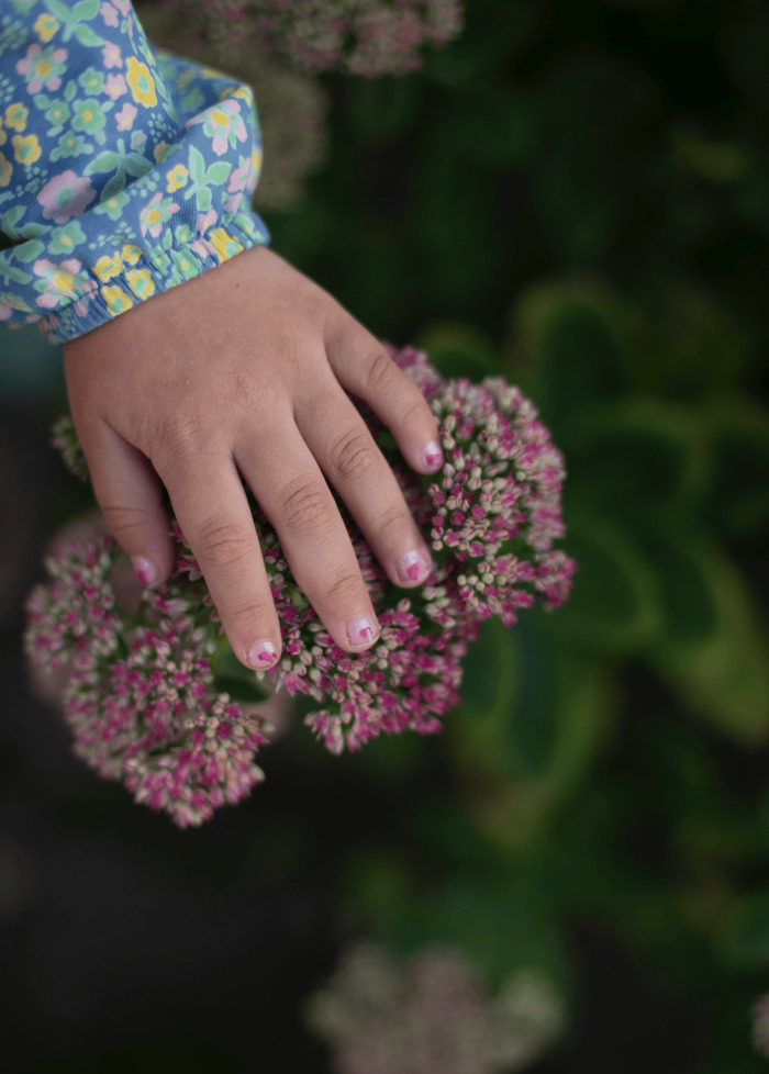 Petite main d'enfant qui touche une fleur