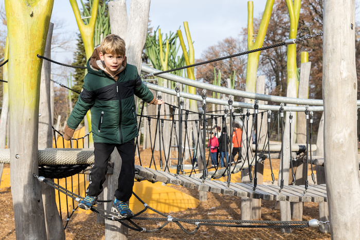 jeune garçon sur un pont de singe