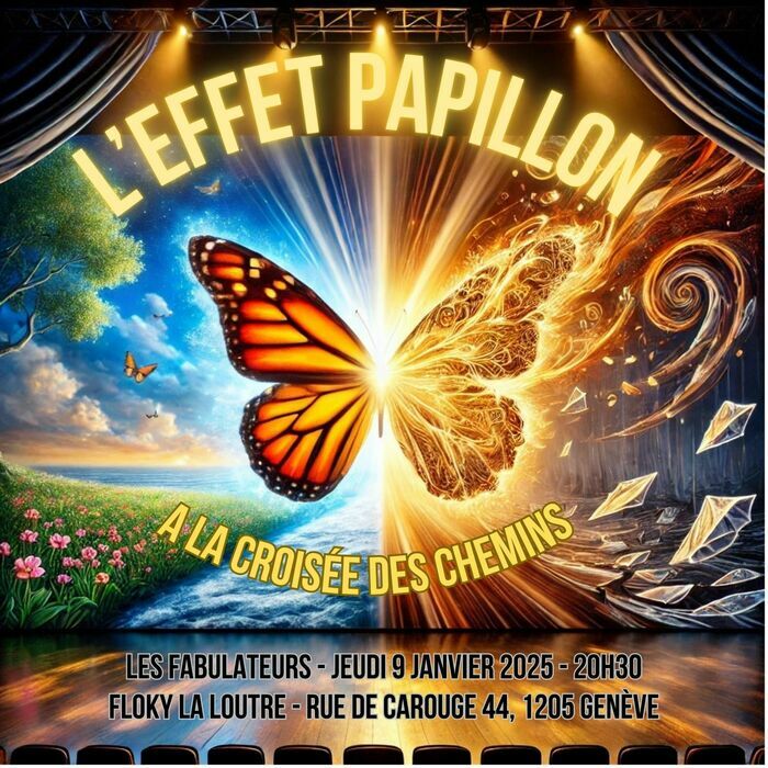 Un papillon avec deux côtés différents - affiche annonce spectacle improvisation des Fabulateurs