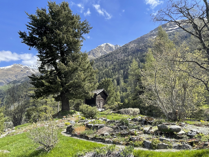 Rocailles avec chalet et montagne