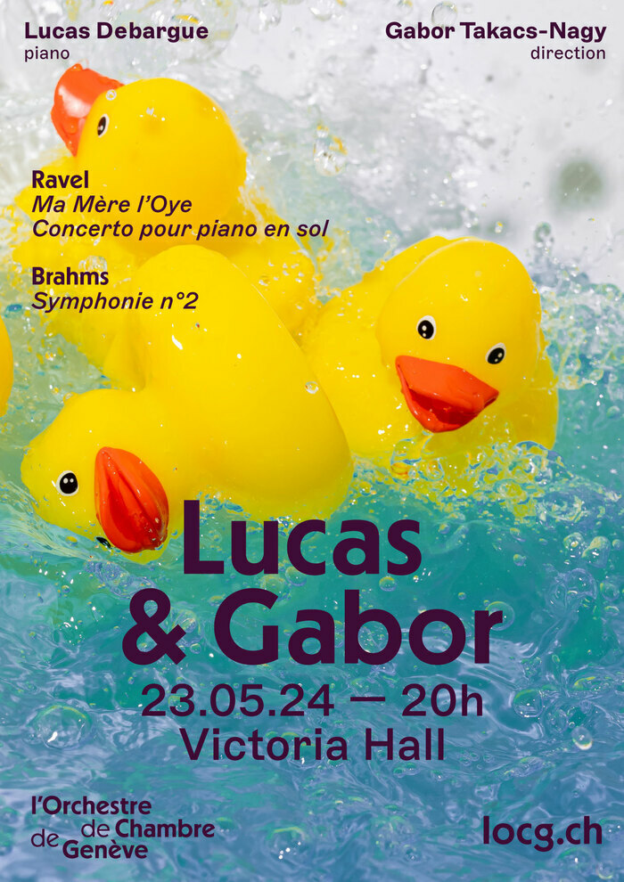 Des canards en plastique jaunes dans un bain