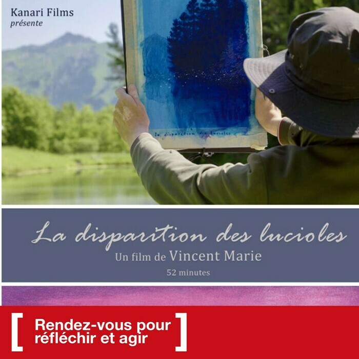 affiche du film avec une personne qui tient un tableau devant un paysage