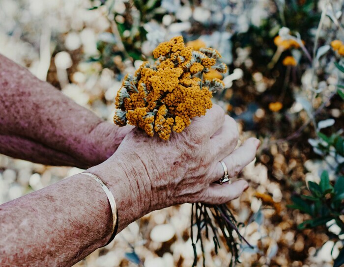 mains senior avec bouquet de fleurs