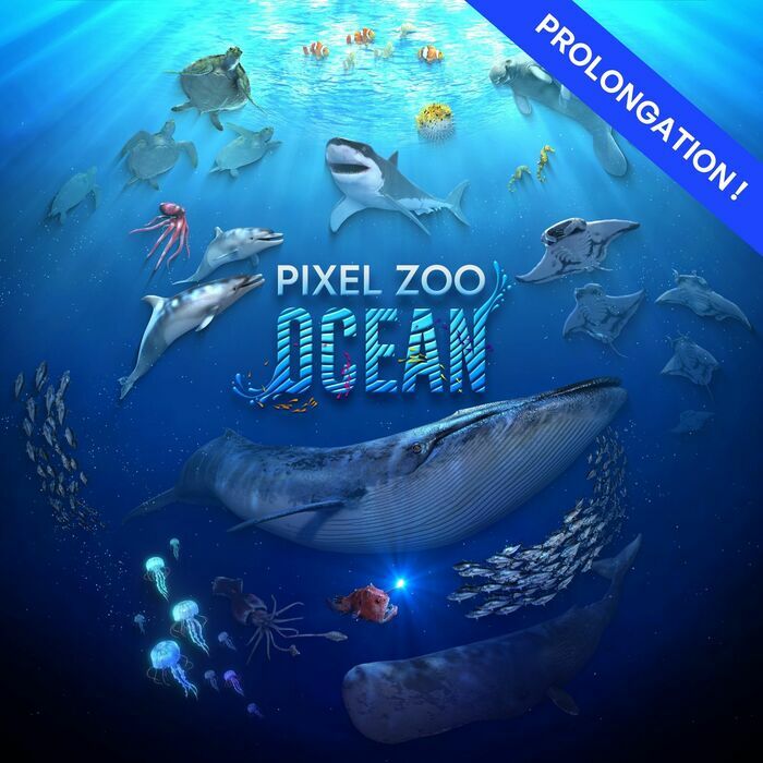 Affiche pour le spectacle immersif Pixel Zoo Ocean à Genève