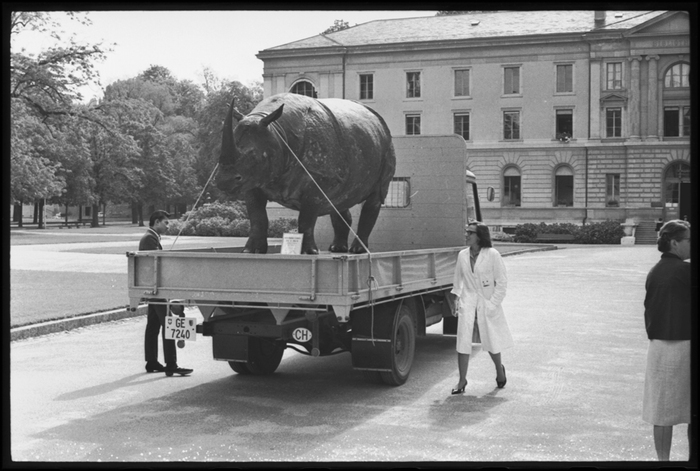 Un rhinocéros taxidermisé sur une camionnette devant le bâtiment de la Bibliothèque de Genève