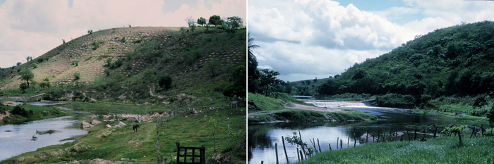 Municipalité de Quebrangulo au Brésil - Photographies avant l'action de reforestation en 1994 et après en 2012