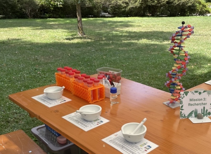 Photographie d'une table posée en extérieur et exposant 3 pillons blancs, une porte éprouvette orange avec des tubes au bouchon rouge et une double hélice d'ADN multicolore en Légo