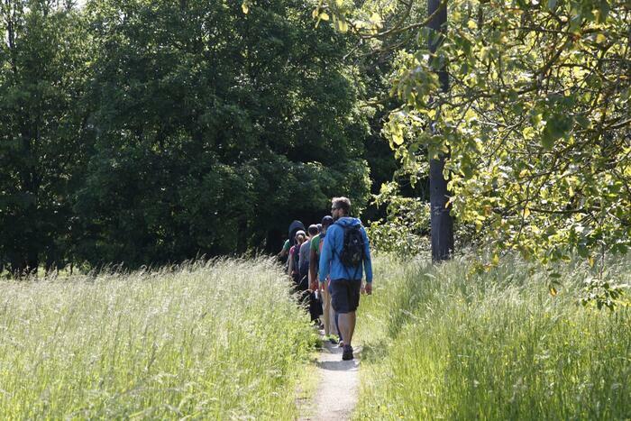 personnes qui marchent en forêt