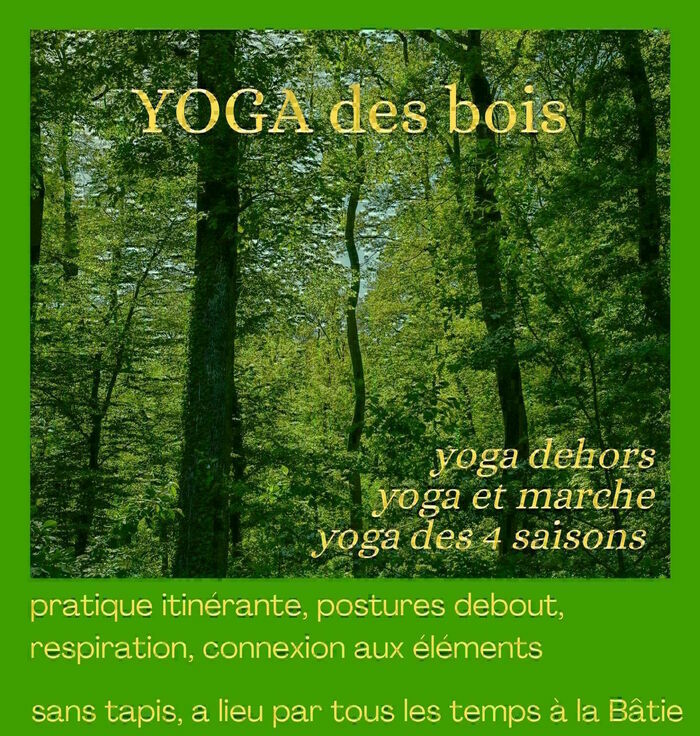 image de verdure, d'arbres