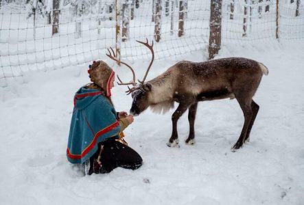 Femme Sámi qui donne à manger à une renne dans un paysage d'hiver