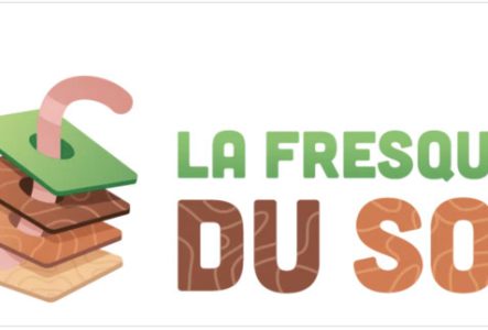 Logo Fresque du Sol