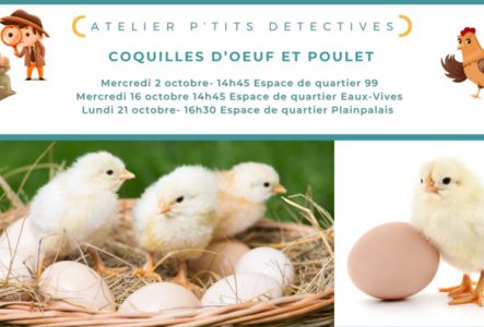 Image de l'atelier pour enfants autour les coquilles et le poulet