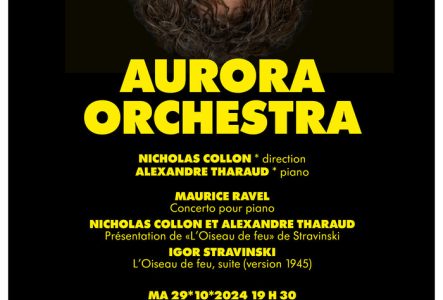 Affiche du concert