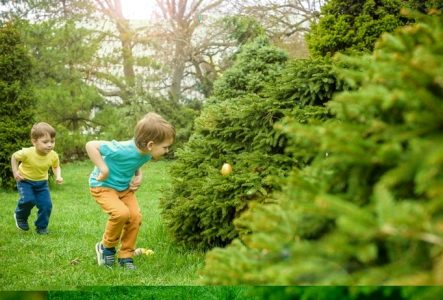 Enfants qui cherchent des oeufs