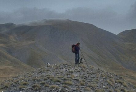 Image extraite du film Un pasteur de Louis Hanquet. Un homme dans la montagne regarde au loin. Deux chiens sont à ces côtés.