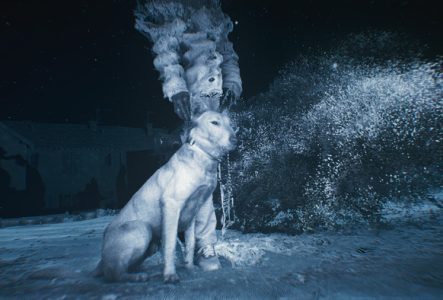 Un homme tient un chien en laisse, l'image est bleue