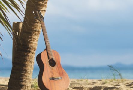 Une guitare appuyée à un cocotier sur une plage