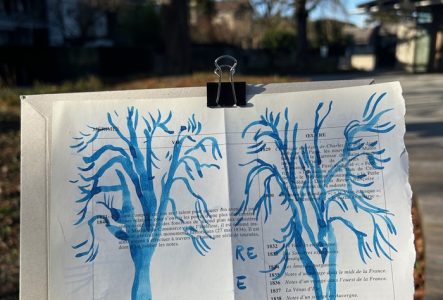 Anouck Fontaine Une photo en couleur qui représente un carnet de croquis sur lequel un arbre est dessiné à l'encre bleue.