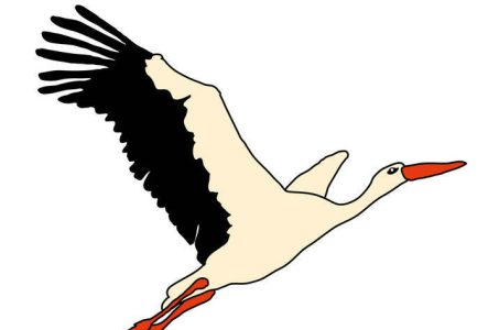 Illustration cigogne qui vole