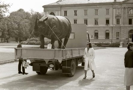 Quand les collections du Muséum siègent aux Bastions