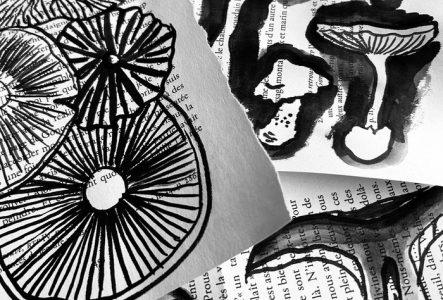 Anouck Fontaine Une photo en noir et blanc qui représente des dessins de champignons peints à l'encre de chine sur une page de livre imprimée
