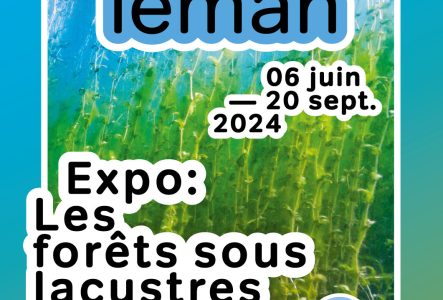 Poster for the ‘Les forêts sous-lacustres’ exhibition at Espace Léman.